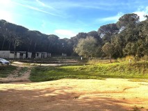 Foto4