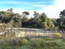 Foto8
