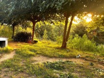 Foto9