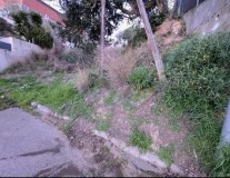 Foto7