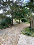 Foto5