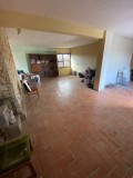 Foto54