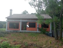 Foto1