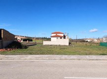Foto5