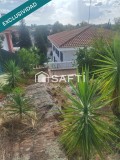 Foto15