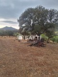 Foto6