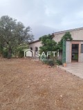 Foto1