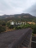 Foto3