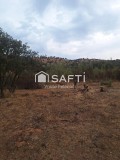 Foto5