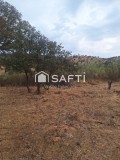 Foto11