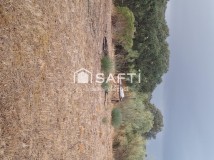 Foto12