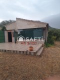 Foto9