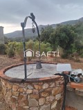 Foto14