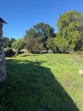 Foto2
