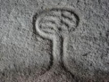 Foto7