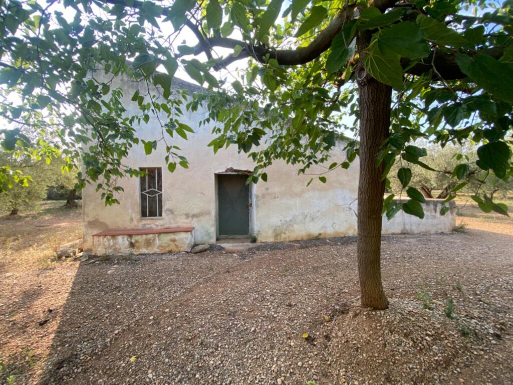 Foto fantástica finca con casa en la miliana
