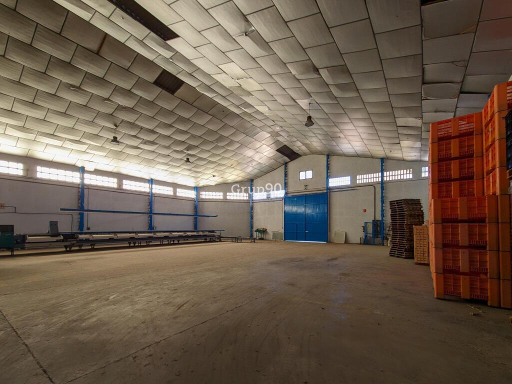 Foto nave industrial y terrenos frutales en aitona