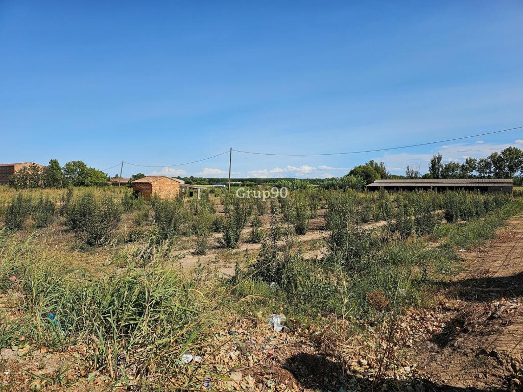 ¡oportunidad inmobiliaria en la nueva zona de expansión de alcarràs! foto grande (3)