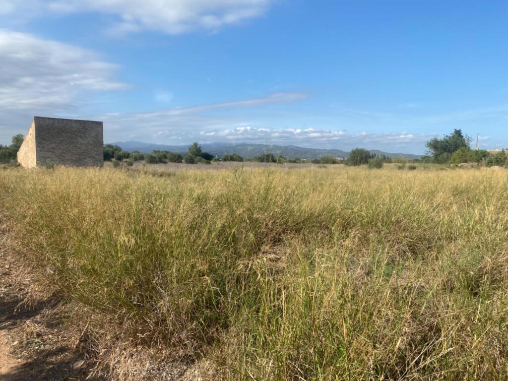 Parcela en venta en Santa Bàrbara