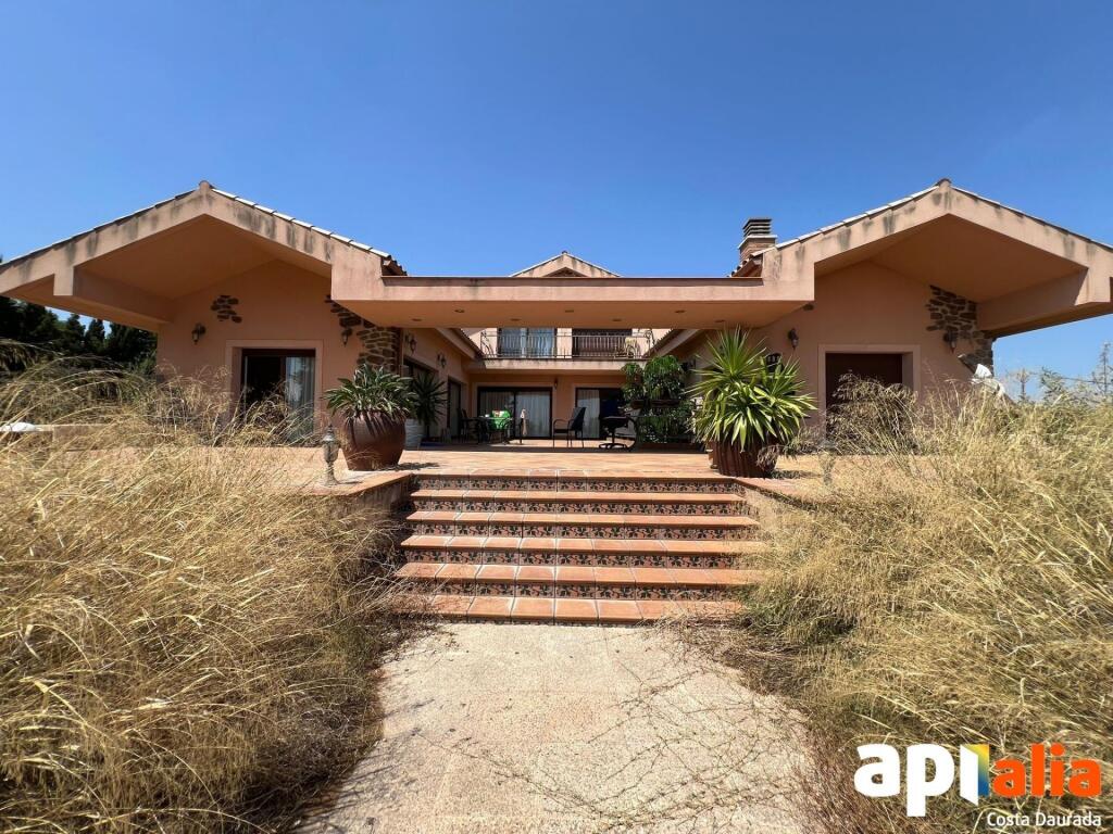 Foto hípica en venta