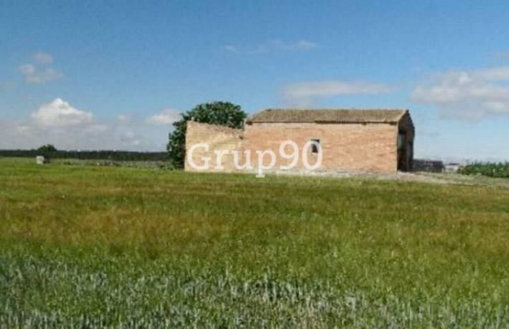 Foto finca de regadío con almacenes en venta en alcoletge.