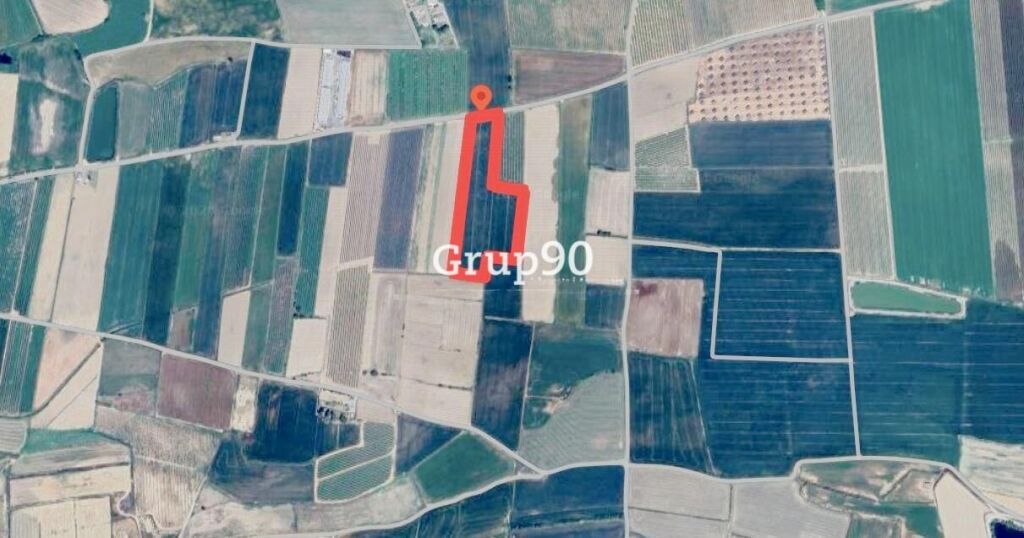 finca de regadío con almacenes en venta en alcoletge. foto grande (3)
