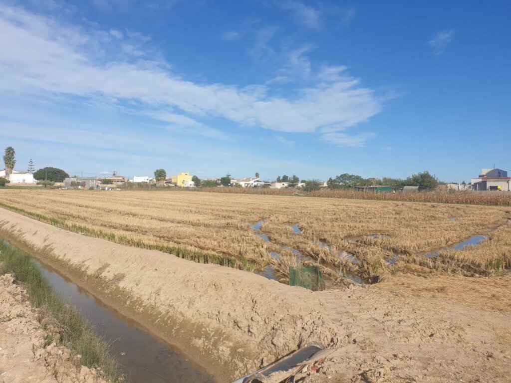 Foto venta de 2 parcelas en sant jaume d\