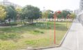 Foto14