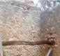 Foto8