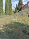 Foto8