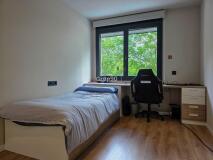 Foto42