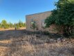 Foto14