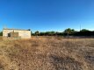 Foto16