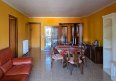 Foto7