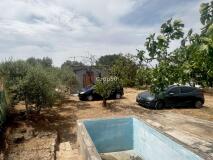Foto4