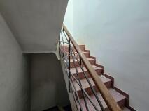 Foto9