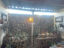 Foto7