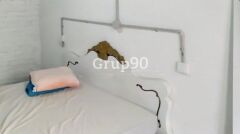 Foto7