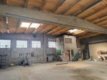 Foto15