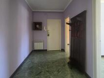 Foto20