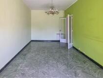 Foto8