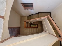 Foto41