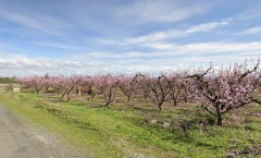 Foto4