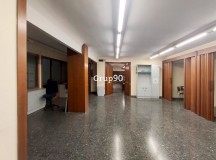 Foto41