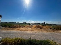 Foto45