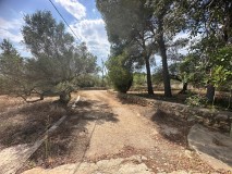 Foto12