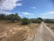 Foto30
