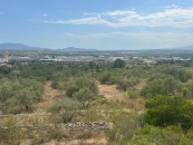 Foto31