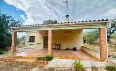 Foto4