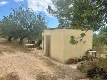 Foto9